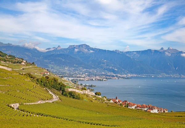 Vineyards Lavaux Region Lake Leman Lake Geneva — Stock Photo, Image