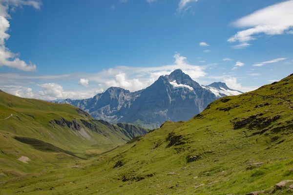 Paisaje Verano Región Jungfrau —  Fotos de Stock