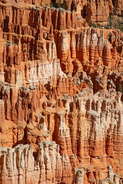 Parque Nacional Canyon Bryce Utah Eua — Fotografia de Stock