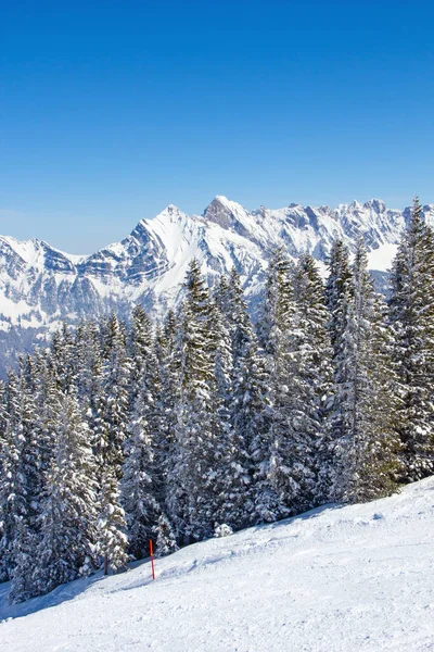 Hanglage Skigebiet Flumserberg Schweiz — Stockfoto