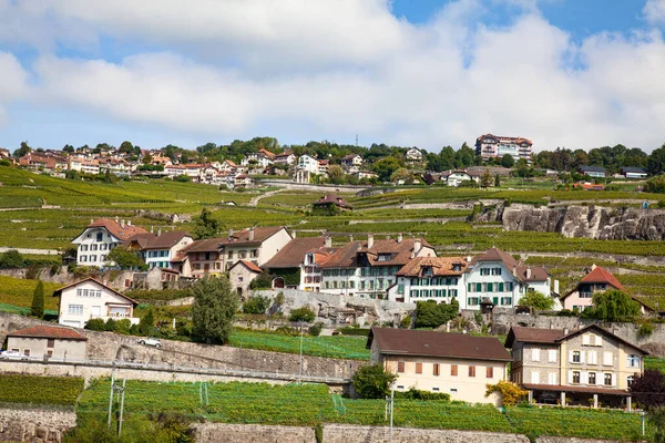 Winnice Regionu Lavaux Nad Jeziorem Leman Jezioro Genewskie — Zdjęcie stockowe