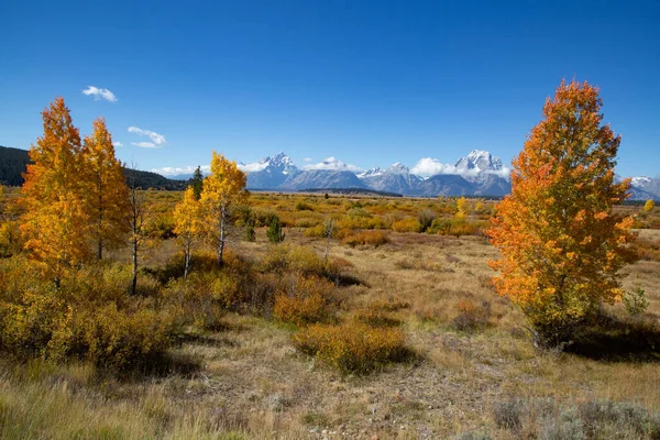 Grand Teton National Park Wyoming Usa — Stockfoto