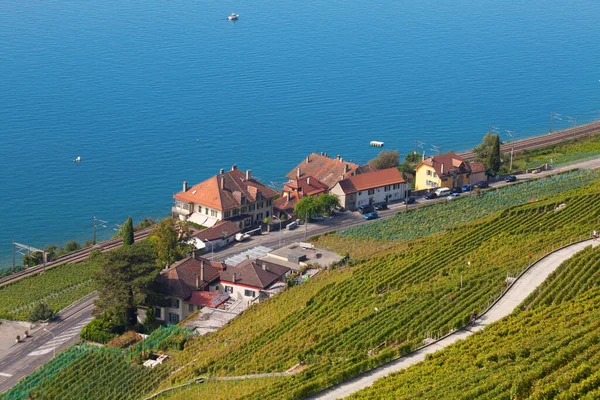 Viñedos Región Lavaux Sobre Lago Leman Lago Ginebra — Foto de Stock