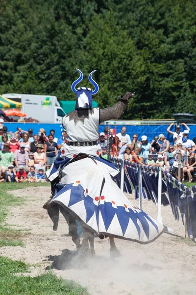 Agasul Switzerland August Oidentifierade Män Riddarrustning Hästen Redo För Action — Stockfoto