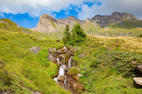 Zomer Landschap Jungfrau Regio — Stockfoto