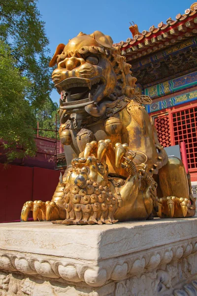 Beijing China Outubro 2017 Cidade Proibida Museu Palácio Palácio Imperial — Fotografia de Stock