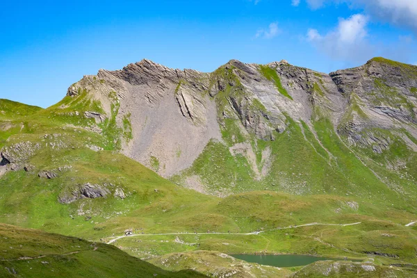 Paisagem Verão Região Jungfrau — Fotografia de Stock