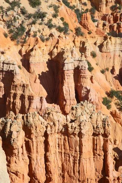 Bryce Canyon National Park Utah Verenigde Staten — Stockfoto