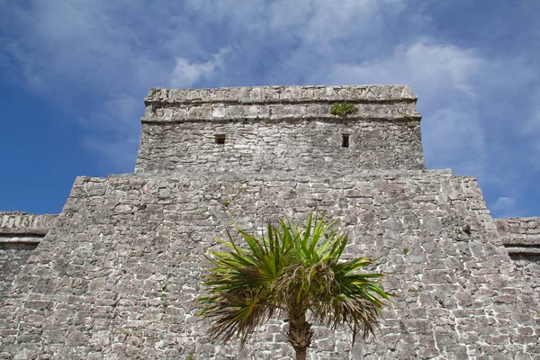 Ruinerna Mayafästningen Och Templet Nära Tulum Mexiko — Stockfoto
