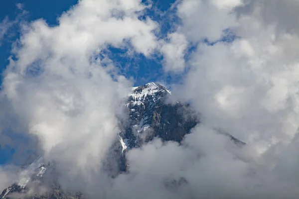 Zomer Landschap Jungfrau Regio — Stockfoto