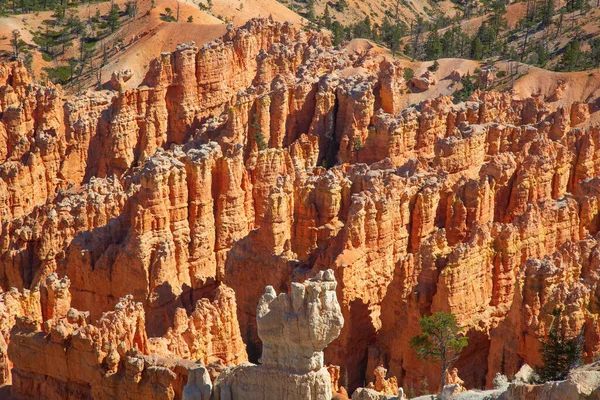 Parque Nacional Canyon Bryce Utah Eua — Fotografia de Stock