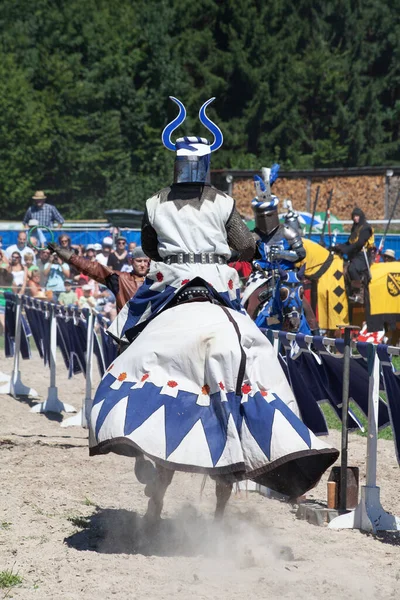 8月18日 在瑞士苏黎世州阿加索市凯堡城堡附近 身穿骑士盔甲的不明身份男子准备在比赛重建期间投入战斗 — 图库照片