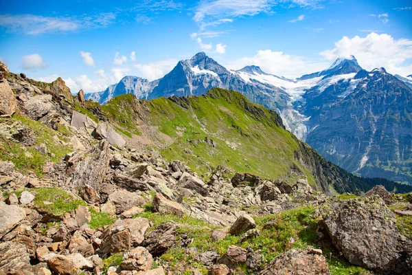 Letní Krajina Oblasti Jungfrau — Stock fotografie