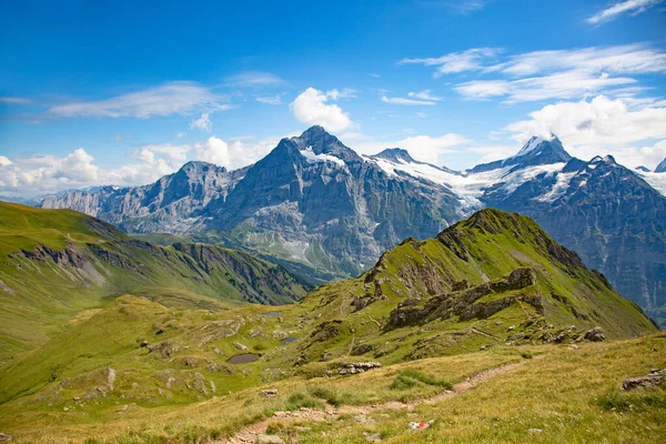 Letní Krajina Oblasti Jungfrau — Stock fotografie