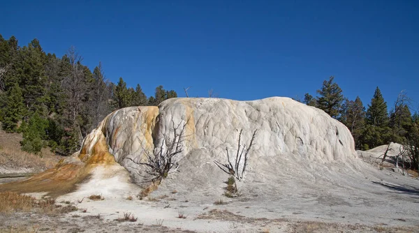 Gorące Źródła Mamuta Parku Narodowym Yellowstone Wyoming Usa — Zdjęcie stockowe