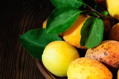 Tahta bir masada seramik tabakta yeşil yapraklı olgun kayısılar.