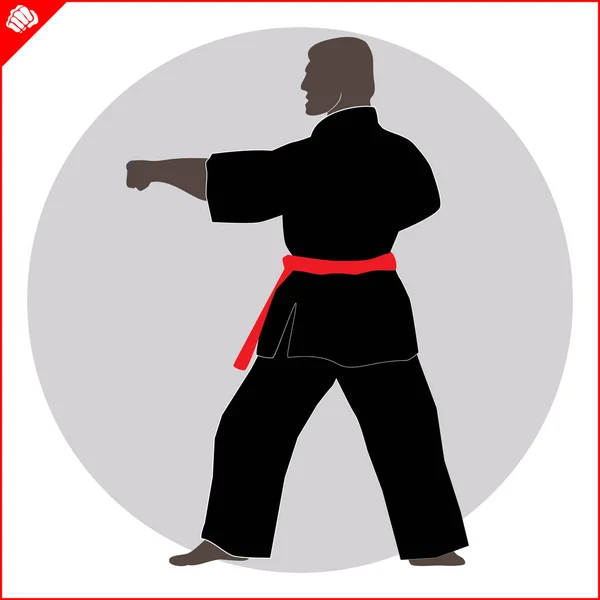 Combate Lucha Combate Kimono Dogi Taekwondo Hapkido Vector Eps — Vector de stock