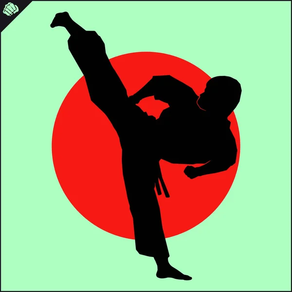 Simbol Color Arte Marcial Logotipo Karate Emblema Diseño Creativo — Vector de stock
