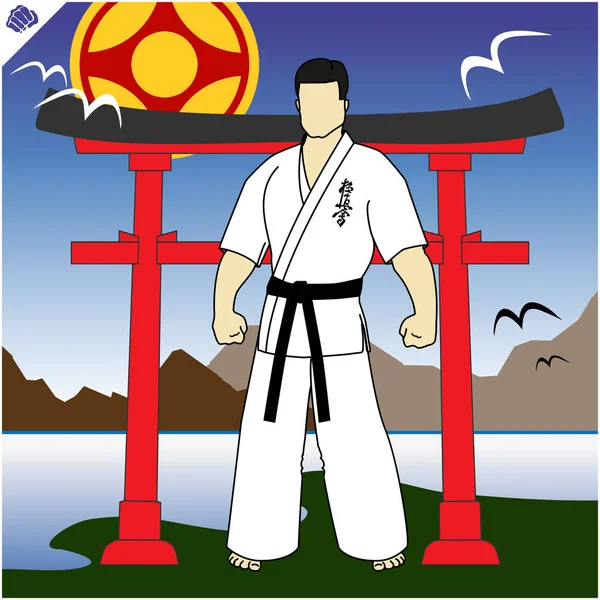 Emblema del karate. Arte marziale creativo disegno Simbol colorato. Vettore, EPS . — Vettoriale Stock