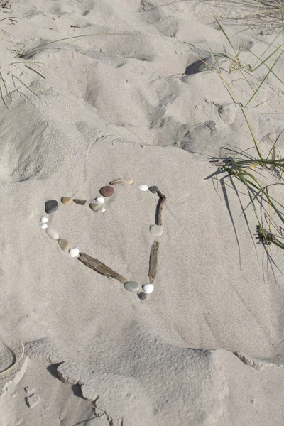 Corazón de conchas marinas y madera a la deriva en la arena —  Fotos de Stock