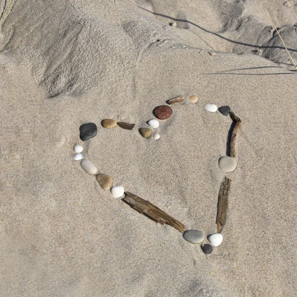 Heart of sea shells and driftwood in the sand — Stock Photo, Image
