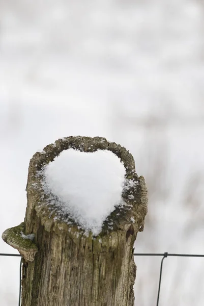 Corazón Nieve Poste Madera — Foto de Stock