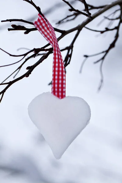 Corazón Hecho Nieve Colgando Una Ramita — Foto de Stock