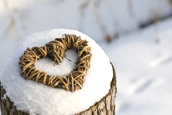 Cuore Vimini Nella Neve — Foto Stock