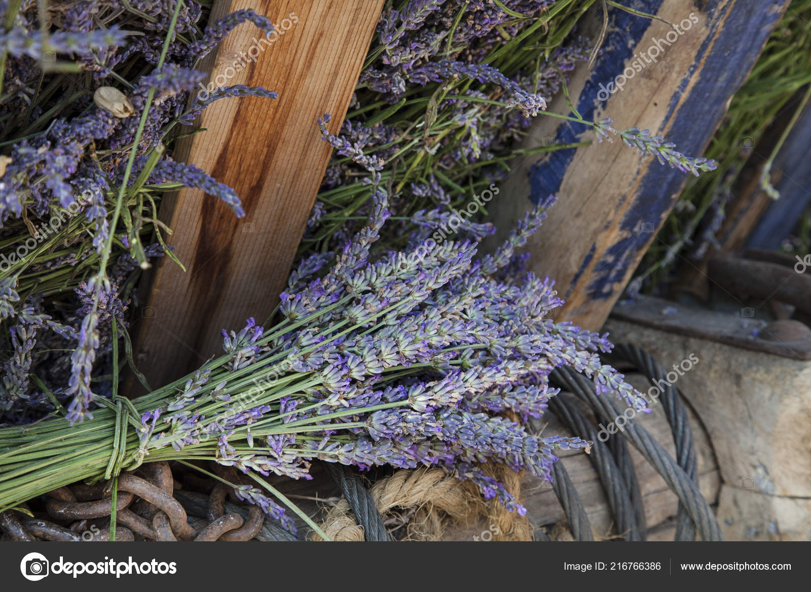 Bouquet of dry lavender flowers Stock Photo by ©Anegada 216766386