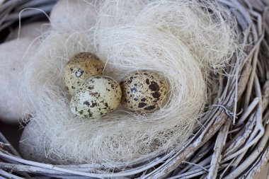 Dekoratif yuva yumurta ile