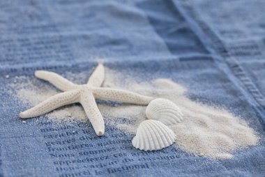 Denim deniz natürmort