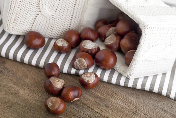 Autumn Still Life With Chestnuts — Stock Photo, Image