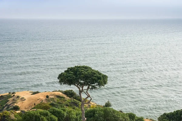 Meerblick auf die portugiesische Algarve-Küste — Stockfoto