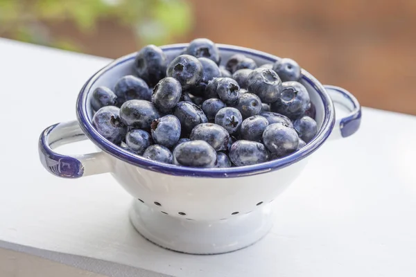 Fresh Picked Blueberries Enamel Sieve — Stock Photo, Image