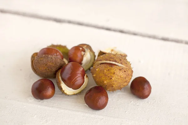 Decorative Rustic Autumn Still Life Chestnuts White Plank — Stock Photo, Image