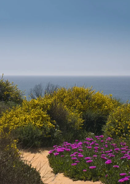 Impresionantes Vistas Mar Costa Portuguesa Del Algarve Con Cielo Azul —  Fotos de Stock