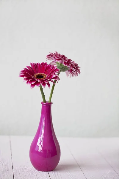 コピー スペースと花瓶にピンクのデイジー ガーベラの花 — ストック写真