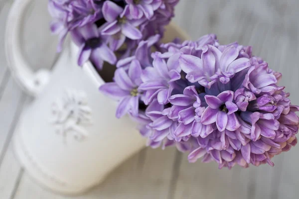 白色复古杯中的紫色风信子花 — 图库照片