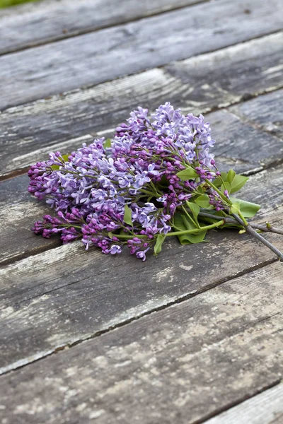 Paquete Floración Lila Sobre Fondo Madera Rústico Viejo —  Fotos de Stock