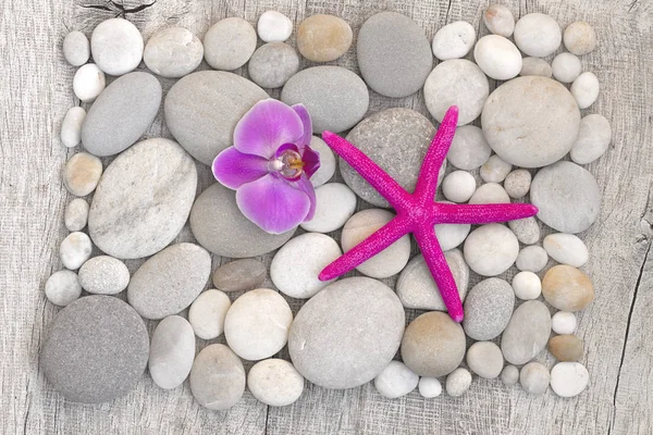 Flachbild Mit Rosa Seestern Und Orchidee Auf Einer Glatten Kieseloberfläche — Stockfoto
