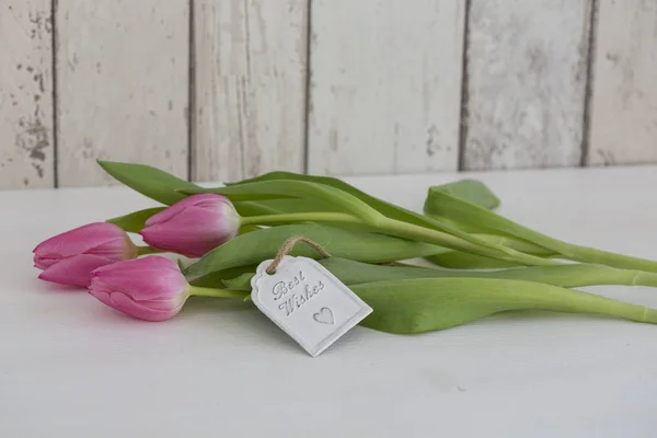 Feminine Spring Still Life Pink Tulips Little Tag Best Wishes — Stock Photo, Image