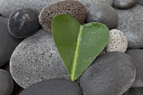 Heart Shaped Leaf On Pebble — Stock Photo, Image