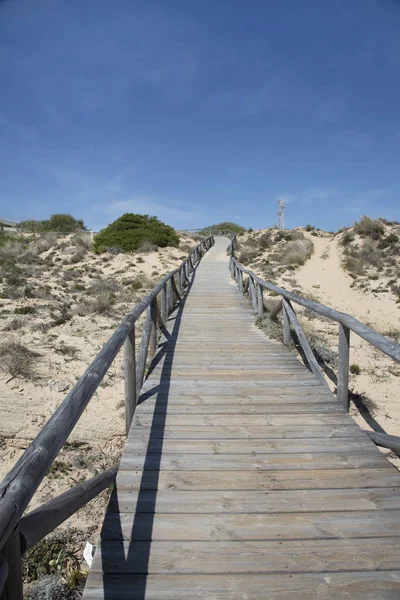 Una Passerella Legno Come Percorso Tra Dune Una Spiaggia Spagna — Foto Stock