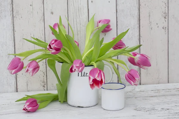 Pink Spring Tulip Still Life — Stock Photo, Image