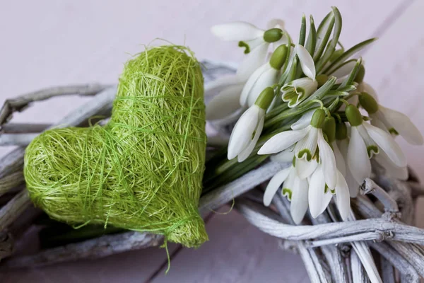 Snowdrop flowers and green heart on a wicker wreath