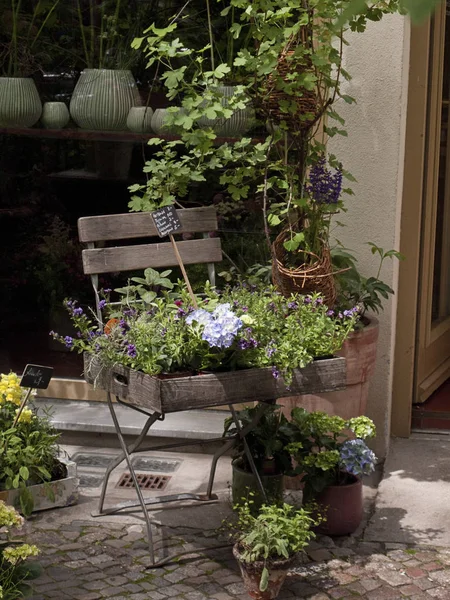 Disposizioni floreali in un negozio di fiori — Foto Stock