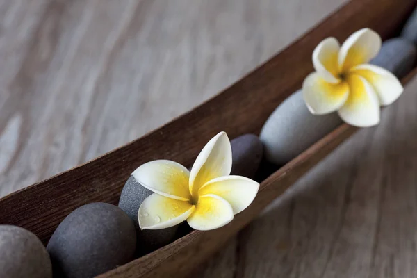 White Yellow Frangipani Flowers — Stock Photo, Image