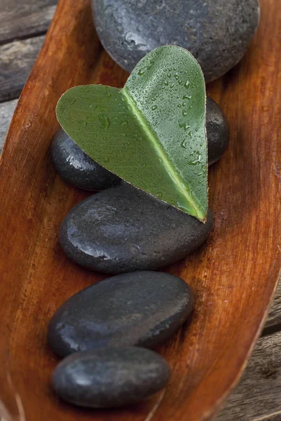 Green Heart Leaf On Pebble — Stock Photo, Image