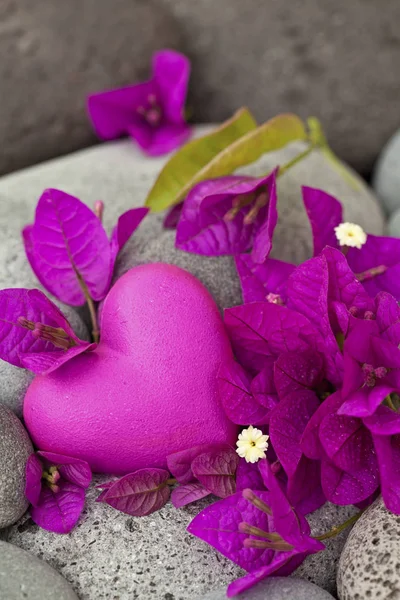 Ljusa rosa Bougainvillea blommor och hjärta — Stockfoto