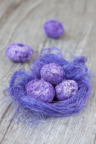 Nest With Easter Eggs — Stock Photo, Image